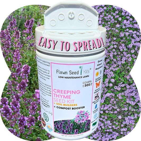 Creeping Thyme Easy Spread Shaker Seed Kit by Flawn Seed Kits, white jar with pink label on Tampa Home & Garden Store