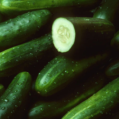 CUCUMBER Seeds, Marketmore - Tampa Home & Garden Store