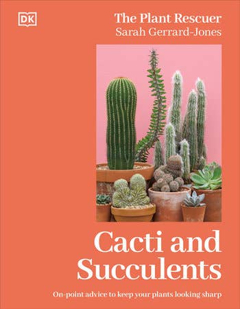 Cacti Succulents - Tampa Home & Garden Store