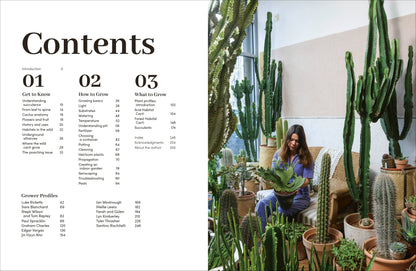 Cacti Succulents - Tampa Home & Garden Store