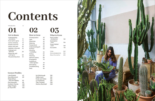 Cacti Succulents - Tampa Home & Garden Store