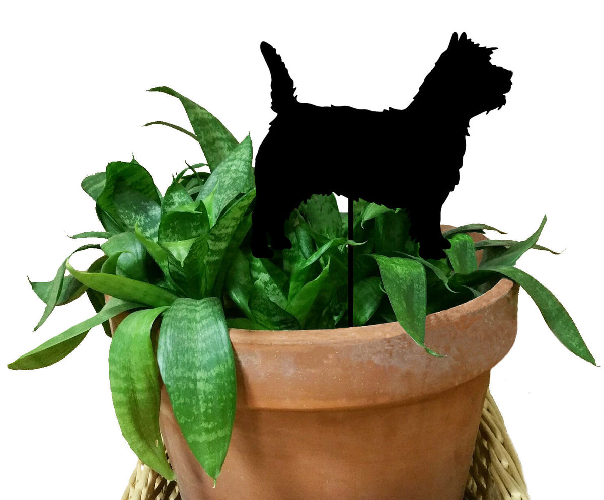 Cairn Terrier Plant Stake silhouette, black on a green snake plant in a terracotta pot on Tampa Home & Garden Store