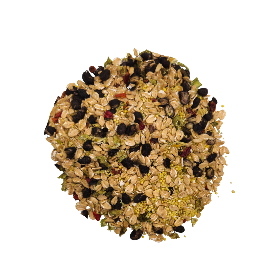 Cajun Bean - Feast on the Fly - Tampa Home & Garden Store