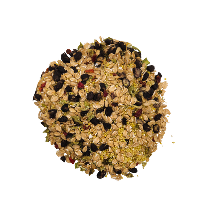 Cajun Bean - Feast on the Fly - Tampa Home & Garden Store
