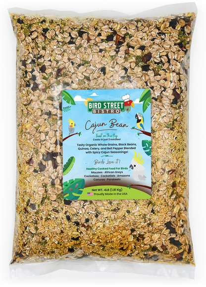 Cajun Bean - Feast on the Fly - Tampa Home & Garden Store