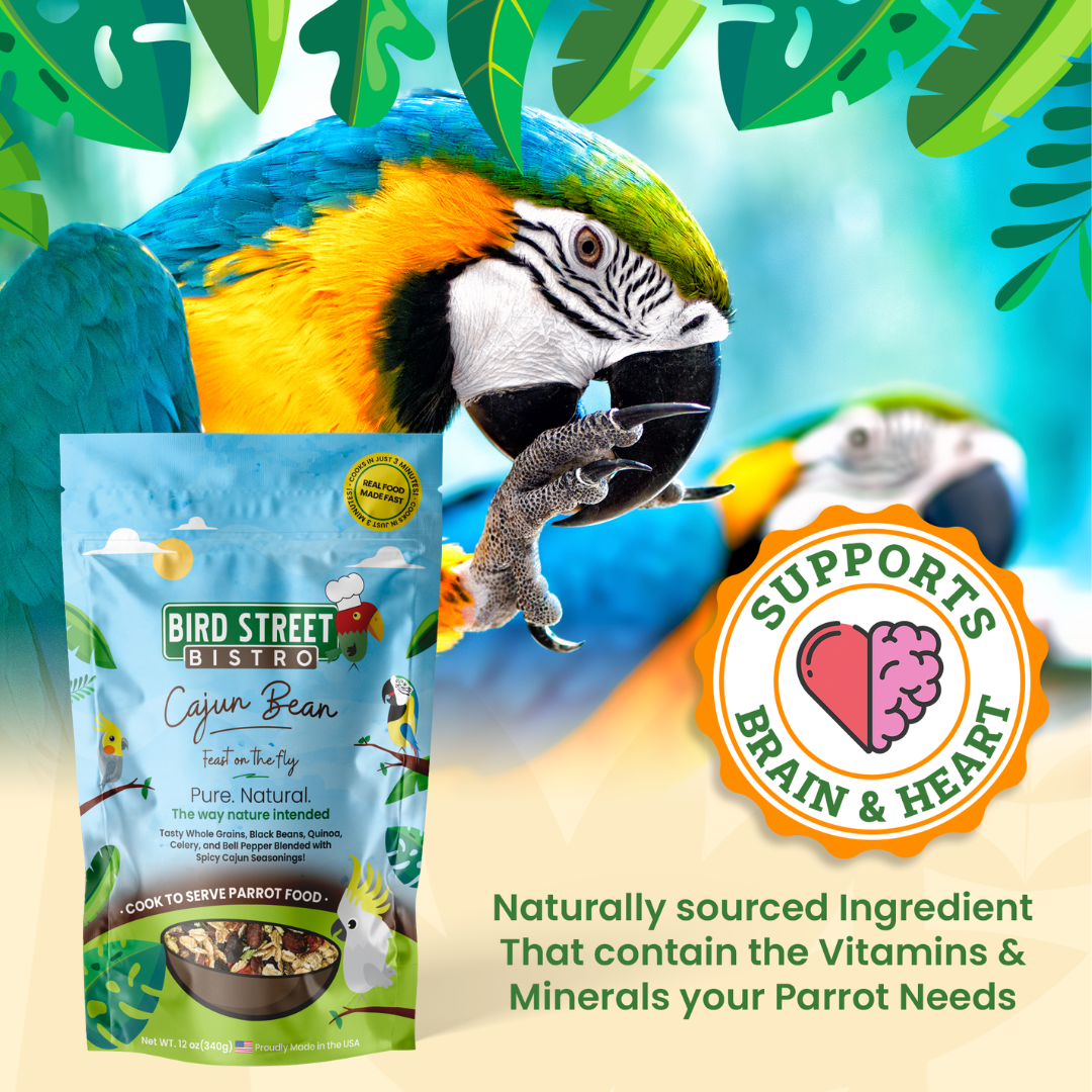 Cajun Bean - Feast on the Fly - Tampa Home & Garden Store