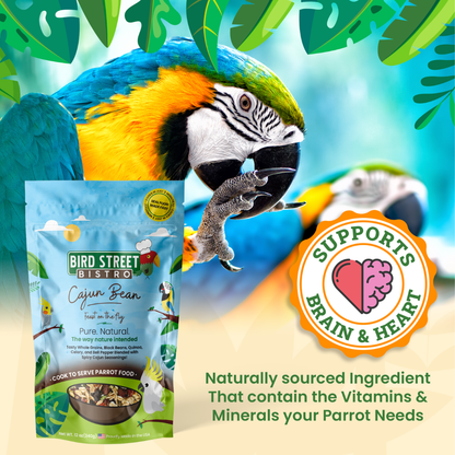 Cajun Bean - Feast on the Fly - Tampa Home & Garden Store