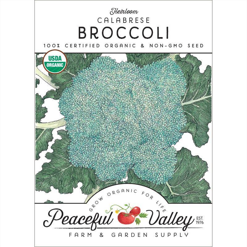 Calabrese Broccoli Seeds (Organic) - Tampa Home & Garden Store