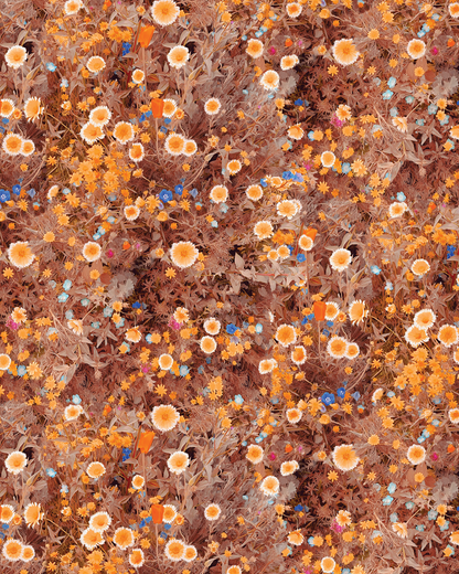 Cali Flowers Wallpaper, golden hour - Tampa Home & Garden Store