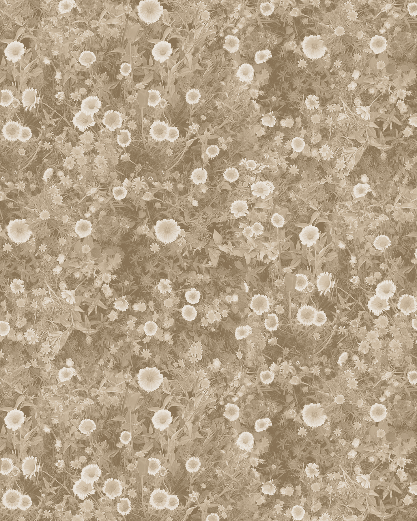 Cali Flowers Wallpaper, neutrals - Tampa Home & Garden Store