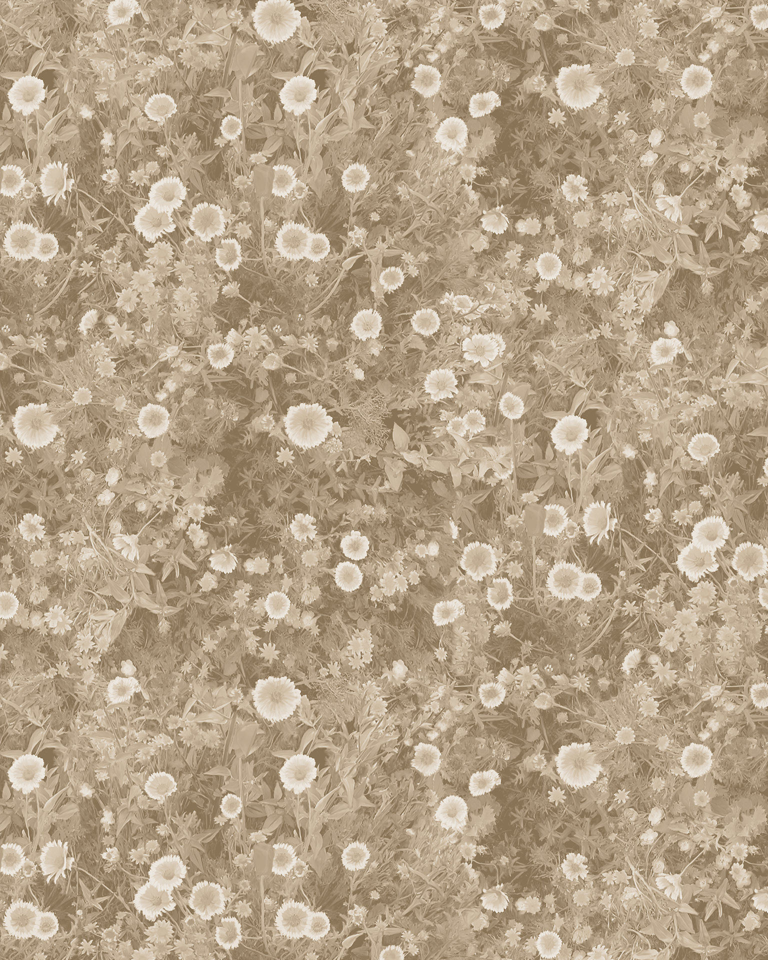 Cali Flowers Wallpaper, neutrals - Tampa Home & Garden Store