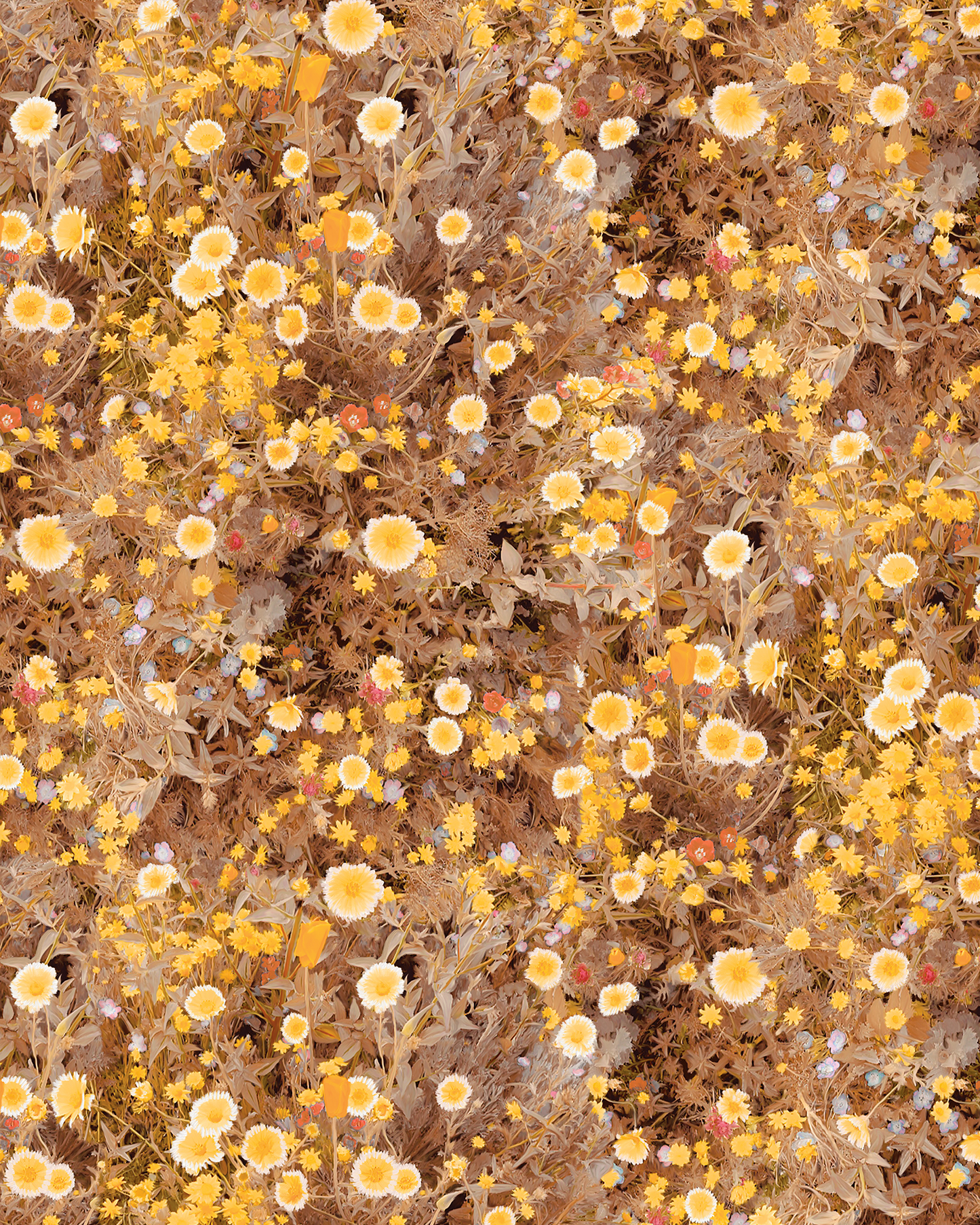 Cali Flowers Wallpaper, sunshine - Tampa Home & Garden Store