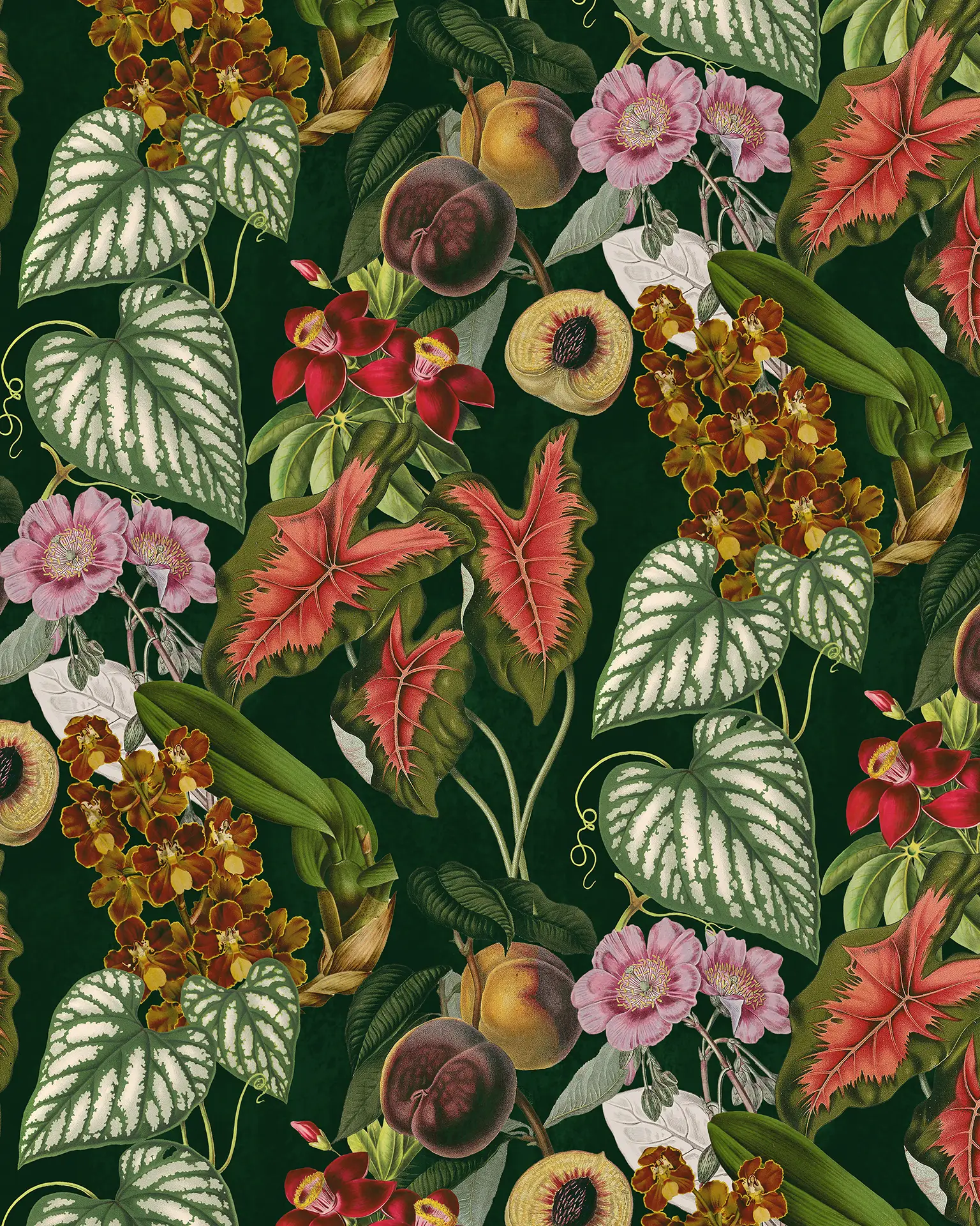 Cali Tropicale Wallpaper, dark green - Tampa Home & Garden Store