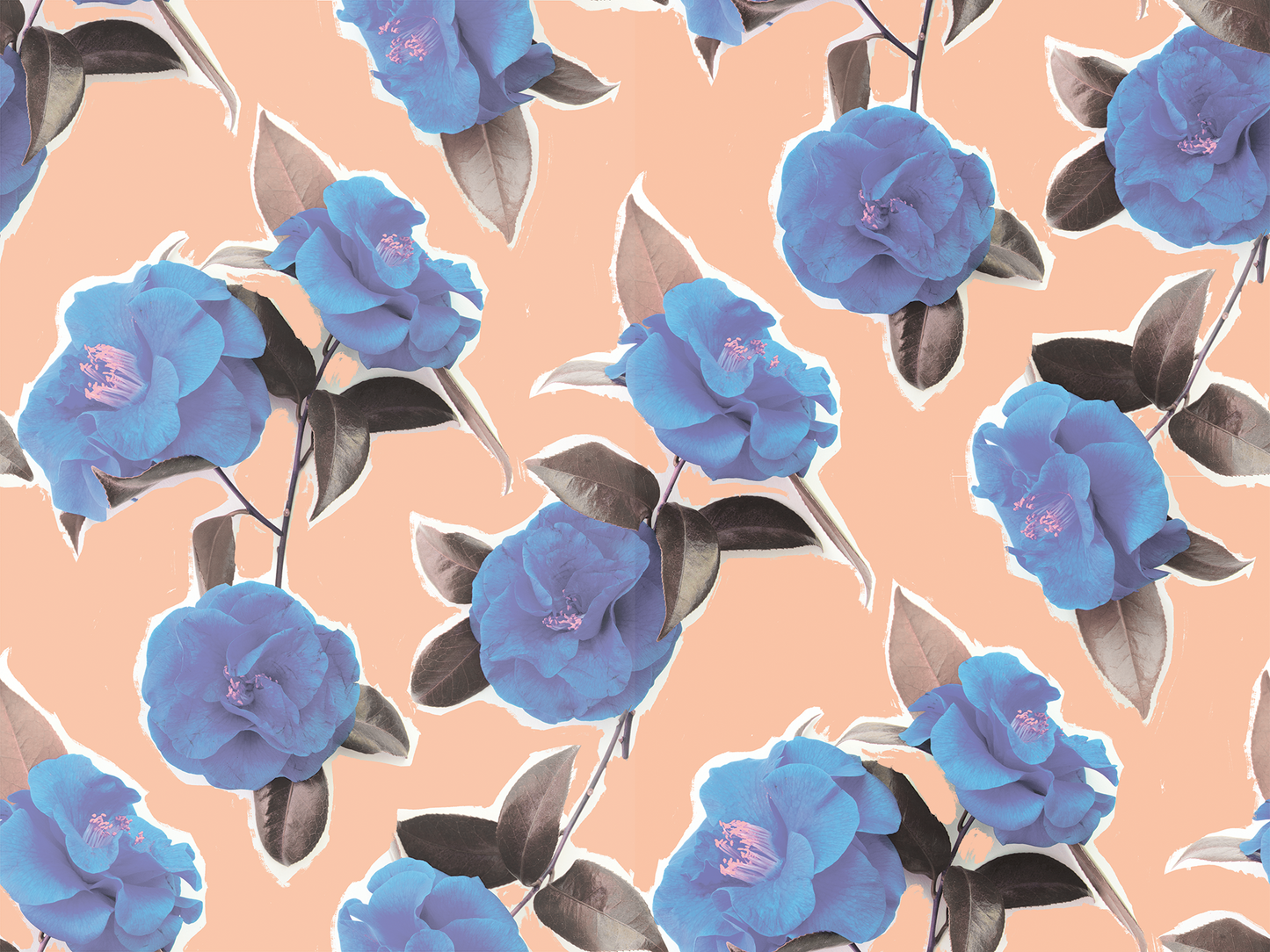 Camellia Wallpaper, cotton candy - Tampa Home & Garden Store