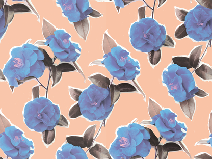 Camellia Wallpaper, cotton candy - Tampa Home & Garden Store