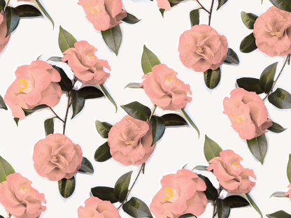 Camellia Wallpaper, white and coral - Tampa Home & Garden Store