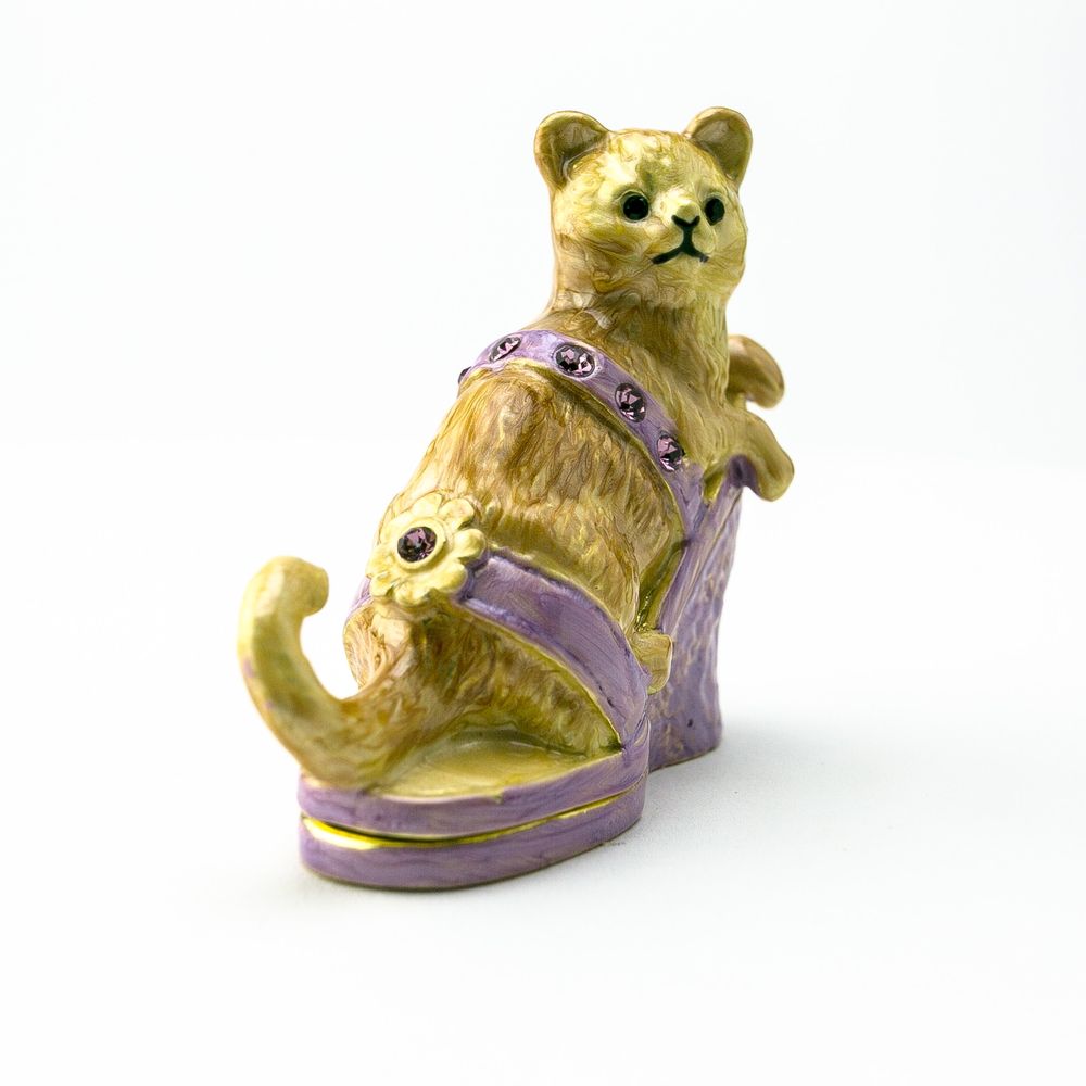 Cat sitting on an Evening Shoe - Tampa Home & Garden Store