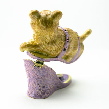 Cat sitting on an Evening Shoe - Tampa Home & Garden Store