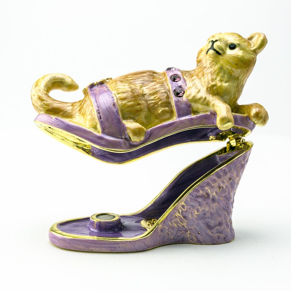 Cat sitting on an Evening Shoe - Tampa Home & Garden Store