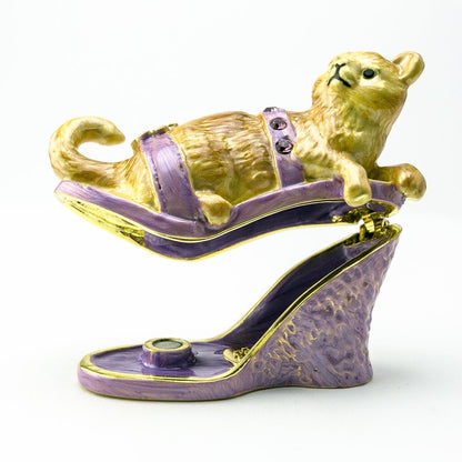 Cat sitting on an Evening Shoe - Tampa Home & Garden Store