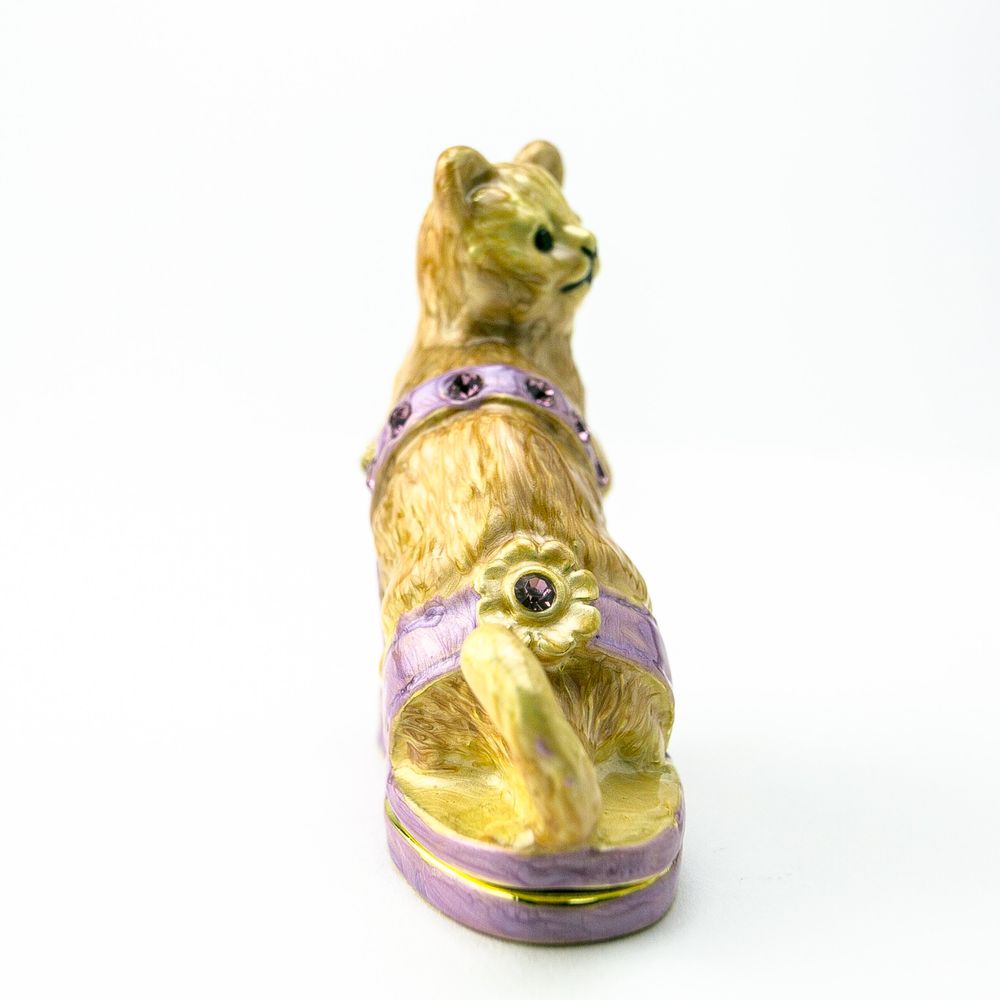 Cat sitting on an Evening Shoe - Tampa Home & Garden Store