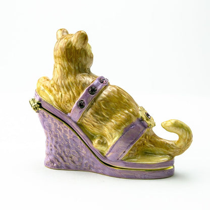 Cat sitting on an Evening Shoe - Tampa Home & Garden Store