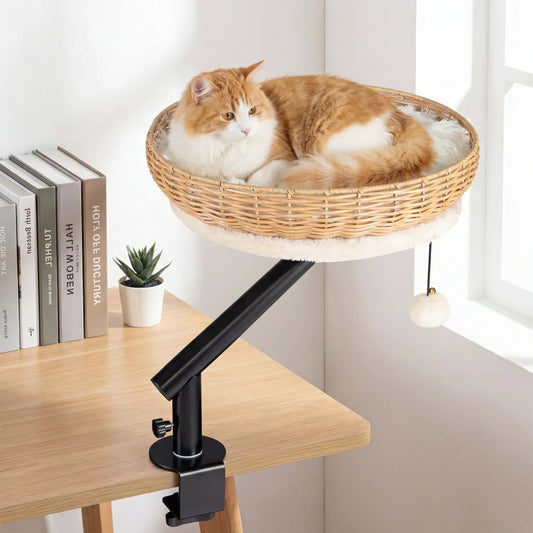 Cat Desk Bed with Cushion for Indoor Cats
