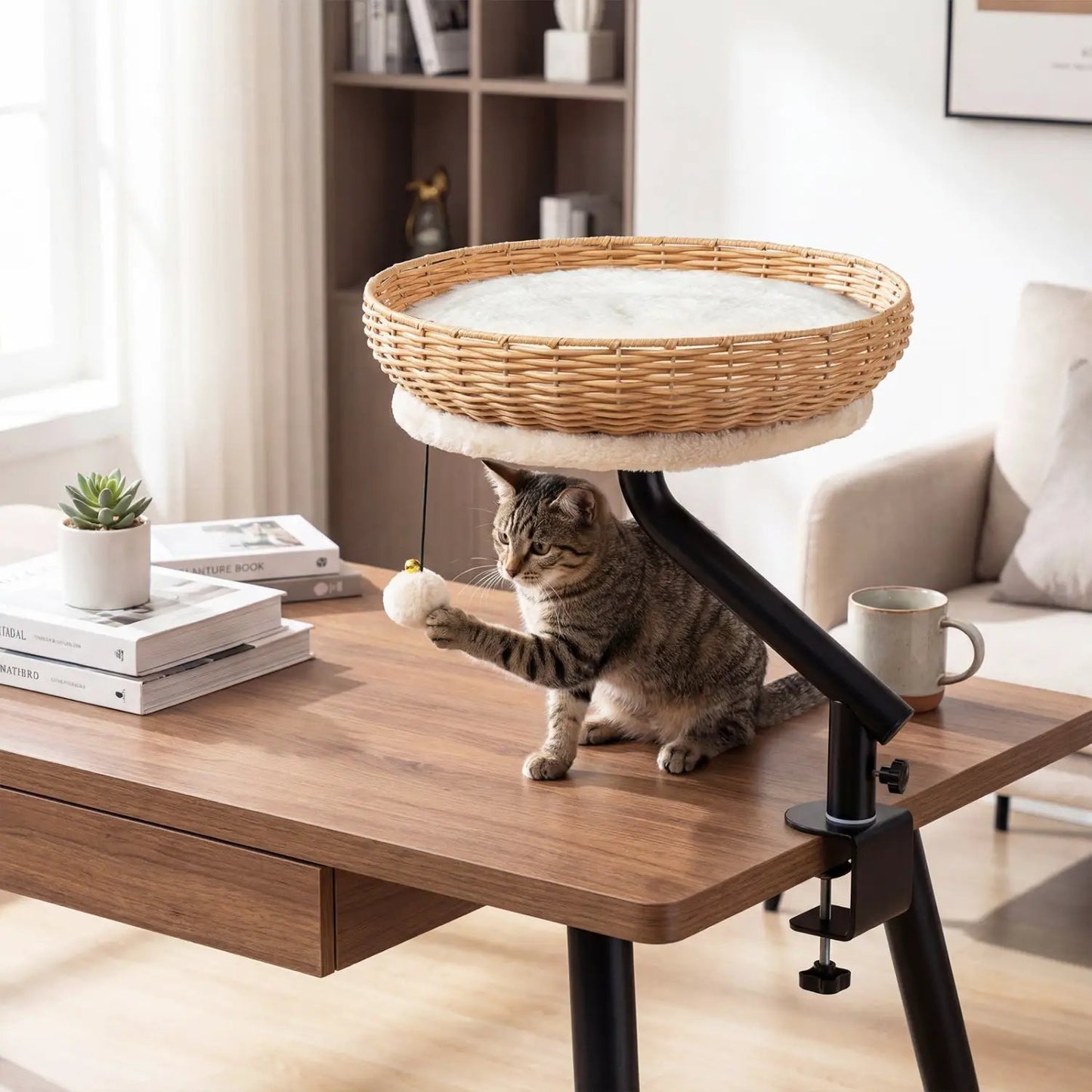 Cat Desk Bed with Cushion for Indoor Cats