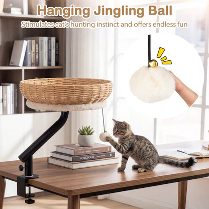 Cat Desk Bed with Cushion for Indoor Cats