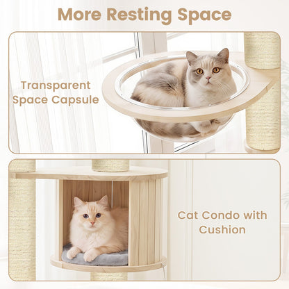 Multi-Level Cat Tree with Perch, Condo & Scratching Posts by DirectDeals, light wood 2 cats on Tampa Home & Garden Store
