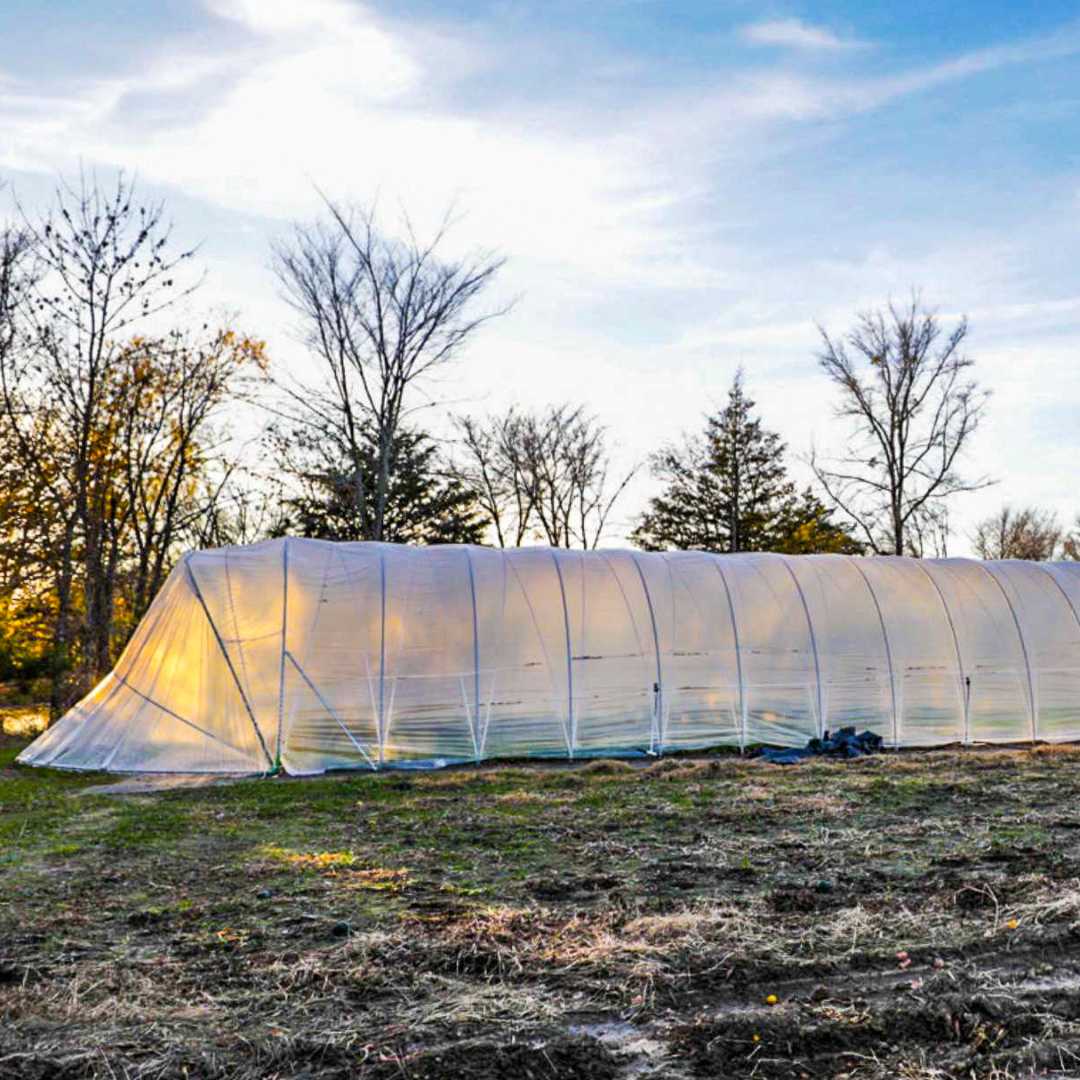 All-Metal Caterpillar Tunnel Kit with Butterfly Doors