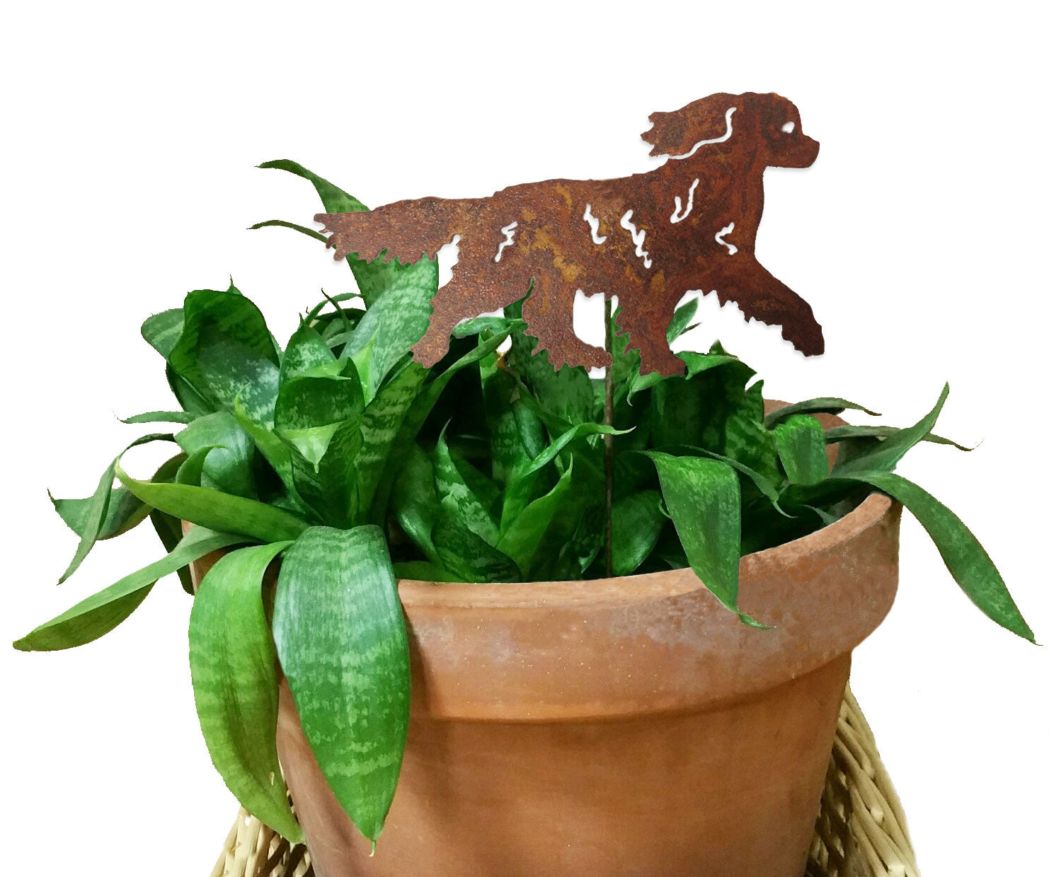 Cavalier King Charles Spaniel Plant Stake in rusted metal atop terracotta pot with green foliage on Tampa Home & Garden Store