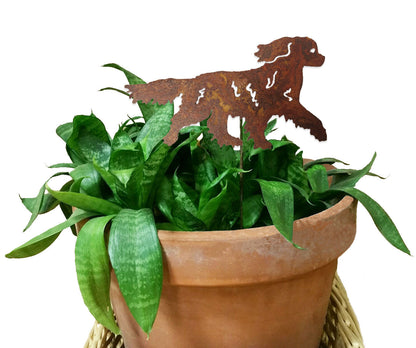 Cavalier King Charles Spaniel Plant Stake in rusted metal atop terracotta pot with green foliage on Tampa Home & Garden Store