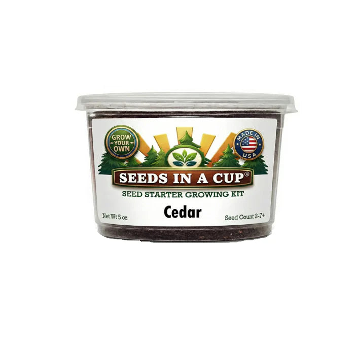 Cedar Tree Grow Kit - Tampa Home & Garden Store