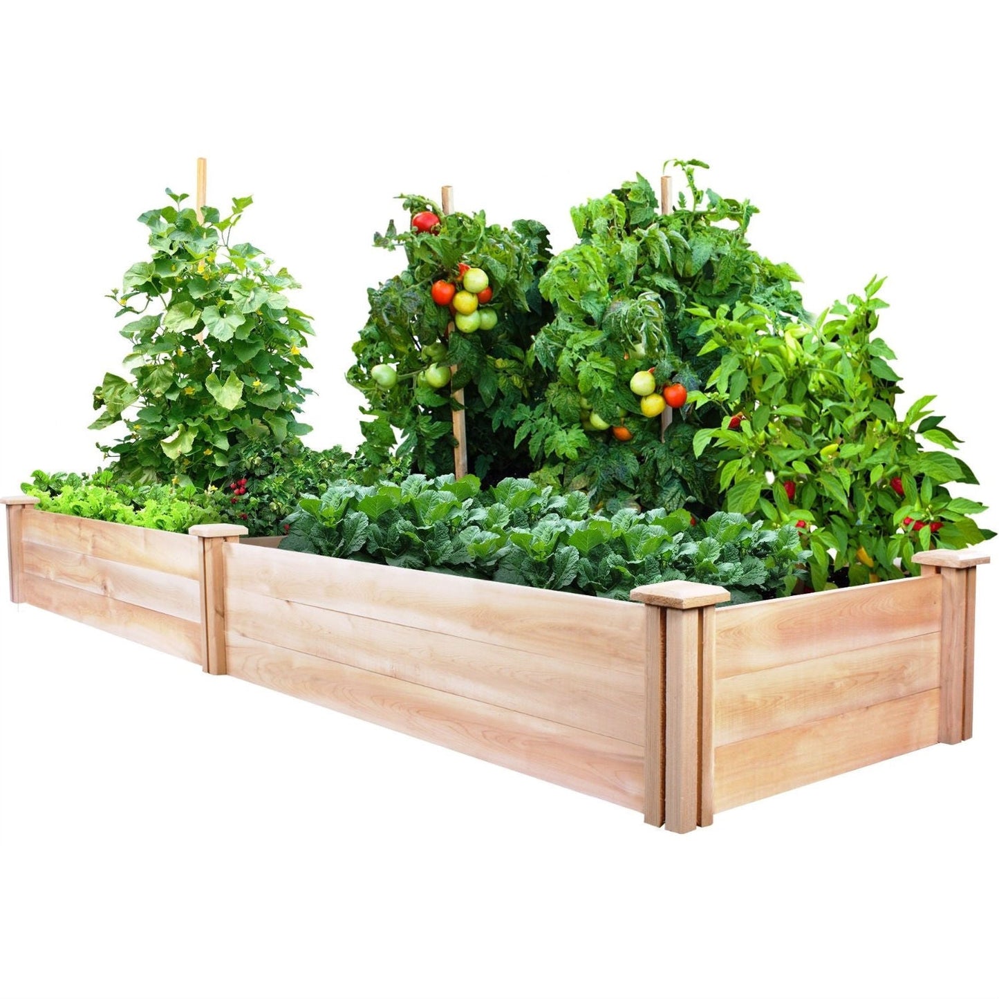 Cedar Wood 2-Ft x 8-Ft Outdoor Raised Garden Bed Planter Frame - Made in USA - Tampa Home & Garden Store