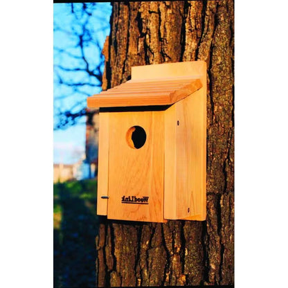 Cedar Wood Birdhouse - Ideal for Eastern Western and Mountain Bluebirds - Tampa Home & Garden Store
