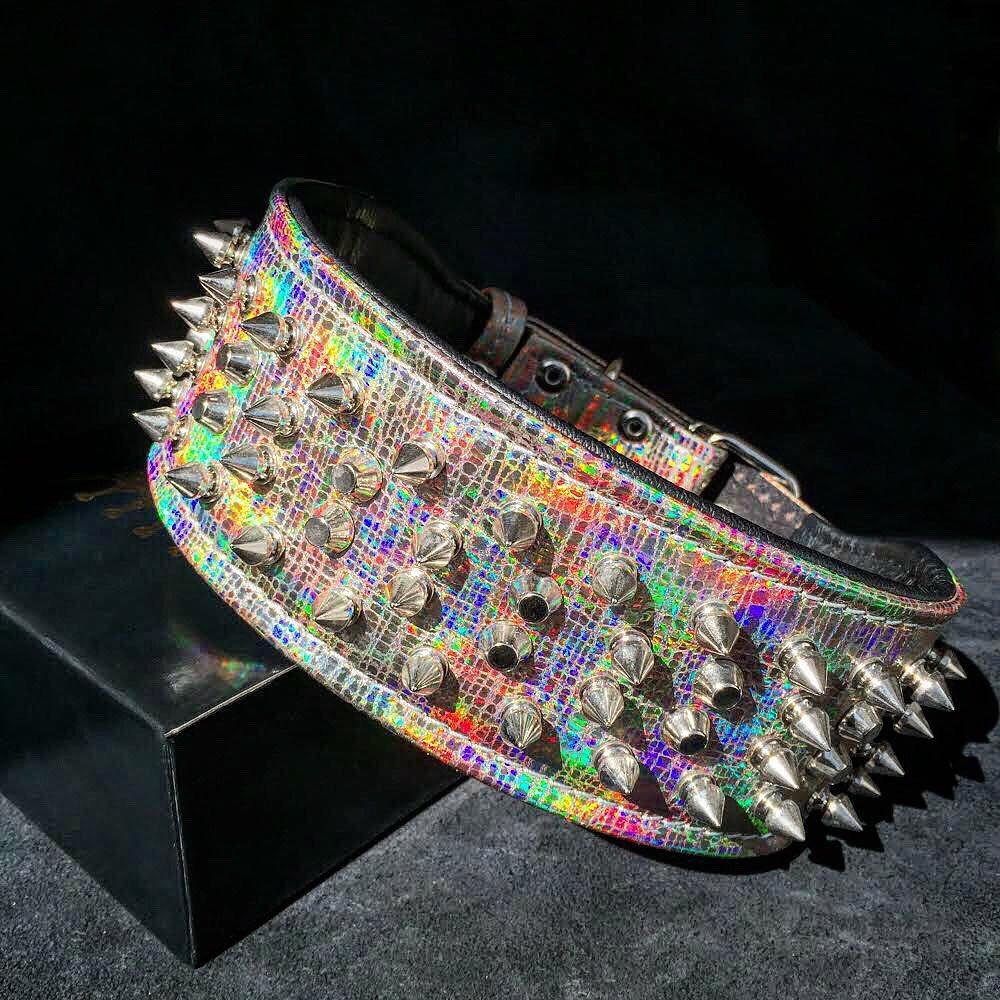 ''Chameleon'' LIMITED big dog collar - Tampa Home & Garden Store