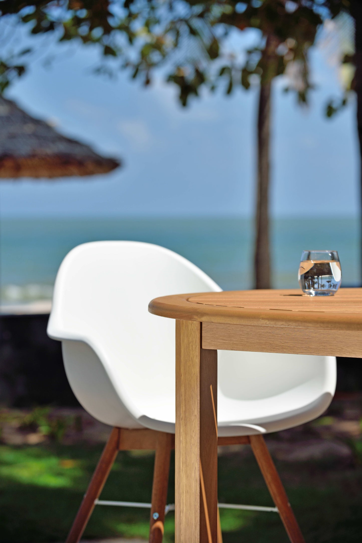 Chamonix resin and FSC wood arm chairs 2pc, white outdoor chairs by LifestyleGarden US on Tampa Home & Garden Store