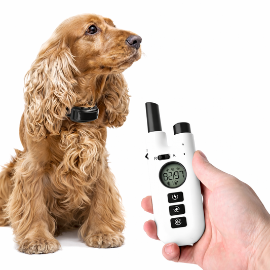 Dog Training Collar 800M Remote Waterproof Rechargeable No Bark Control Collar 2in1 - Tampa Home & Garden Store