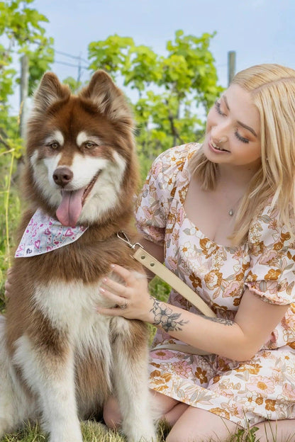 Cheers to Love Dog Bandana - Tampa Home & Garden Store
