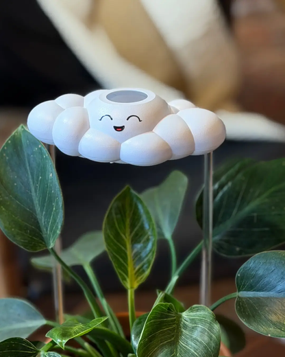 Chelsea the Cloud Plant Pal watering globe with a smiling cloud atop a leafy houseplant on Tampa Home & Garden Store