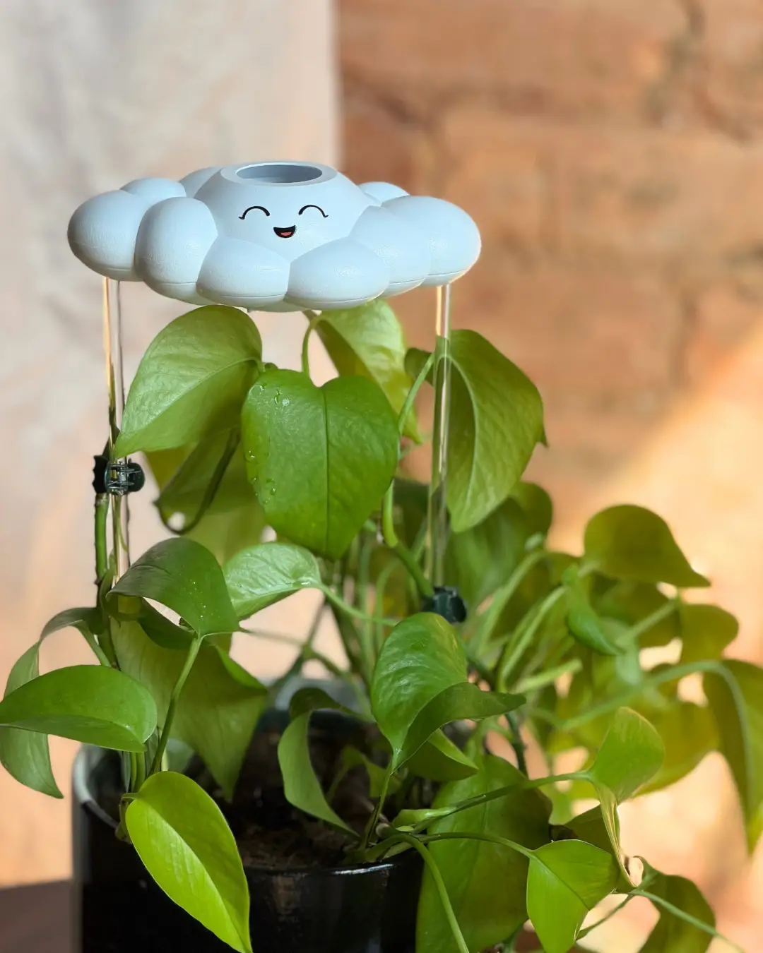 Chelsea the Cloud Plant Pal watering globe by The Cloud Makers sits atop a green plant on Tampa Home & Garden Store