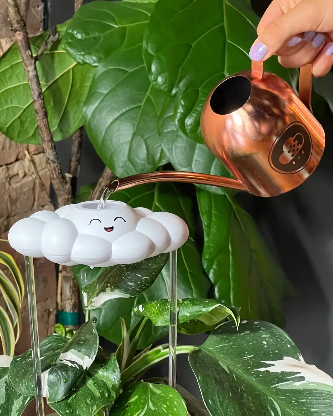 Chelsea the Cloud Plant Pal watering globe white cloud waterer on clear stand on Tampa Home & Garden Store