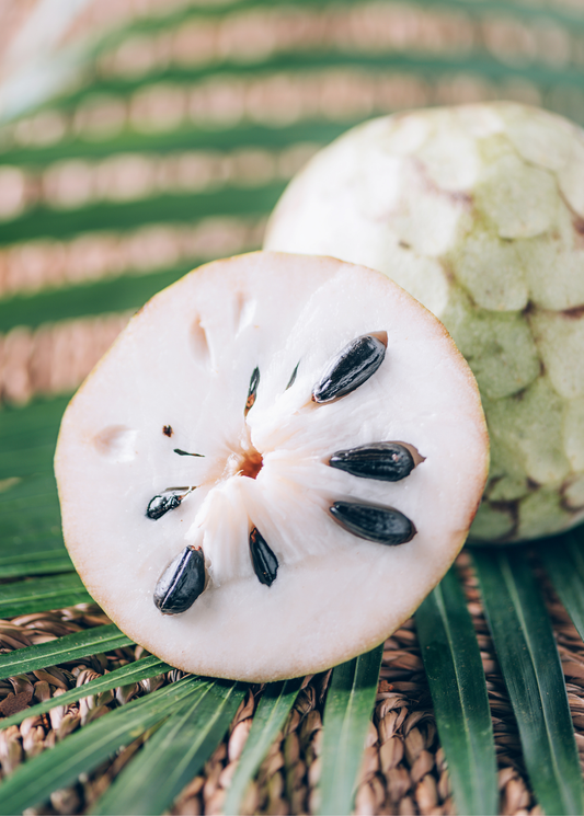 Cherimoya (Annona cherimola) - Tampa Home & Garden Store