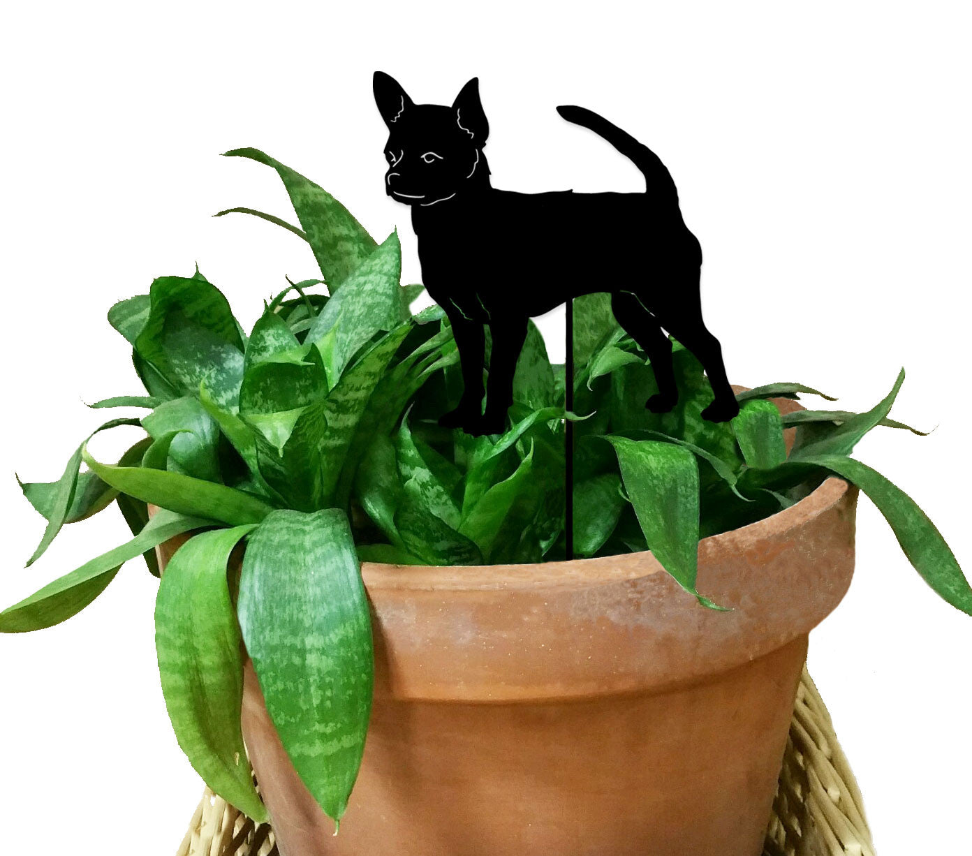 Chihuahua ornament plant stake style 1, black silhouette on stake among green leaves in pot on Tampa Home & Garden Store