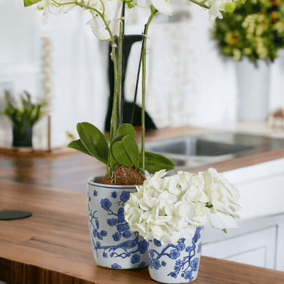 Chinoiserie Vases - Tampa Home & Garden Store