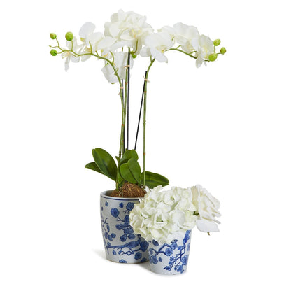Chinoiserie Vases - Tampa Home & Garden Store