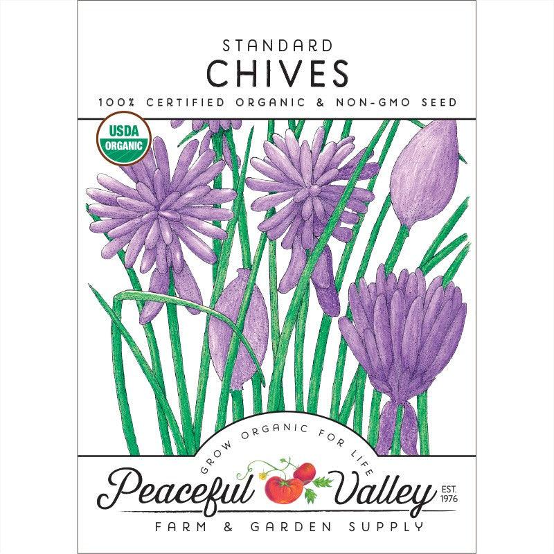 Chives Seeds (Organic) - Tampa Home & Garden Store