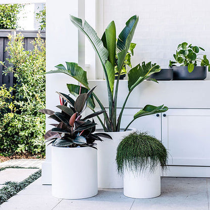 The Choob Contemporary Planter | Sleek Cylinder Pot Set