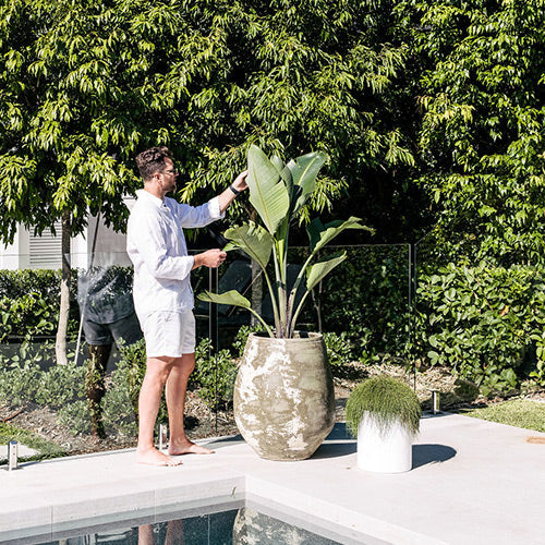 The Choob Contemporary Planter | Sleek Cylinder Pot Set